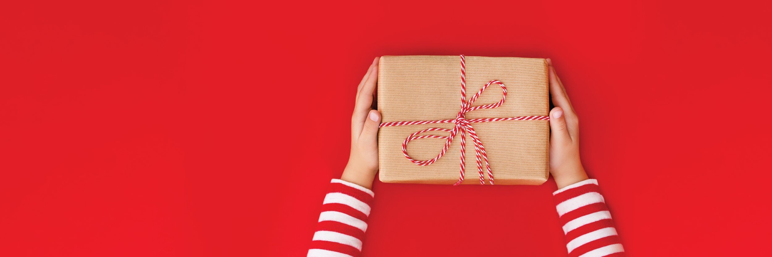 A woman hands are seen holding a gift-wrapped package.